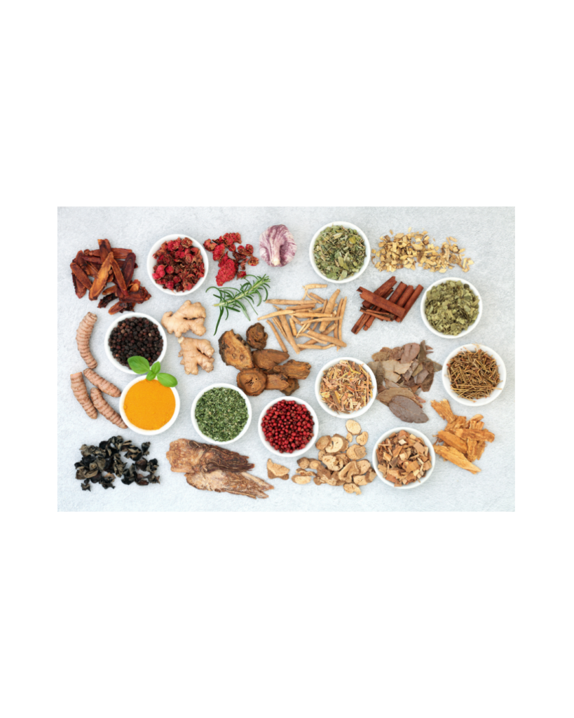 ふくろう薬局　生薬　薬草　漢方　風邪