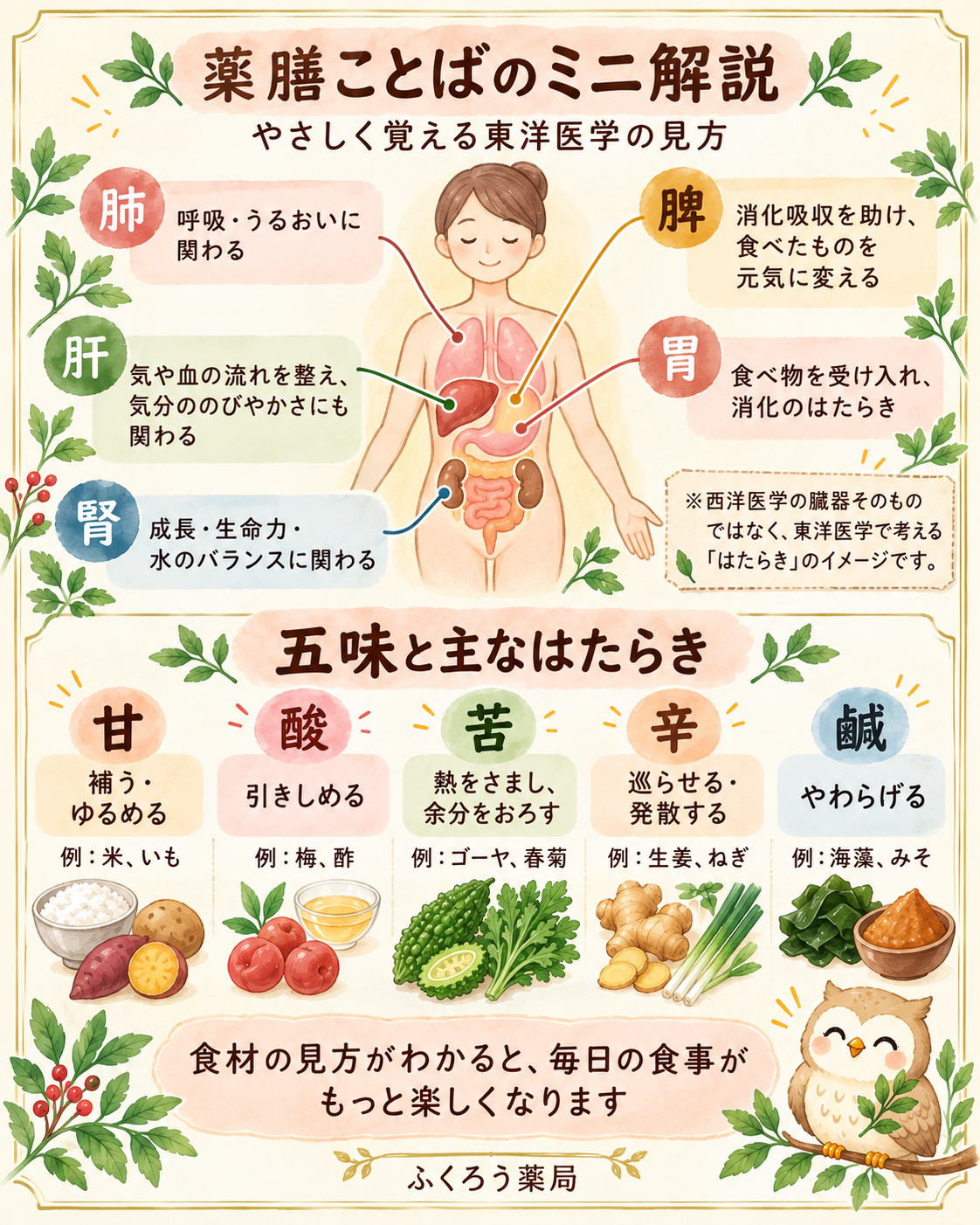 脾・胃・肝・肺・腎や五味をやさしく解説するイラスト
